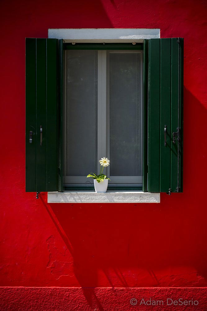 Burano Window Flower