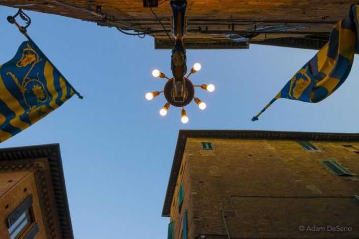 Tartuga Lamp, Palio, Siena, Italy