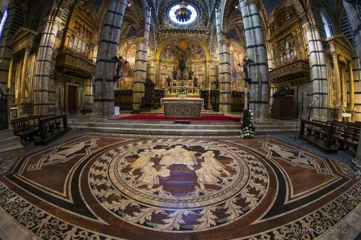 Siena Inside Duomo Floor, Italy
