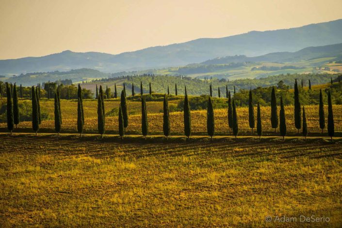 Solders In The Summer, Tuscany