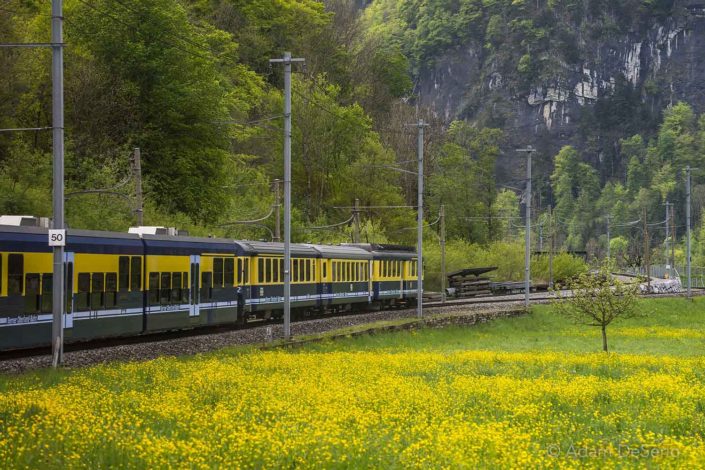 Swiss Trainride