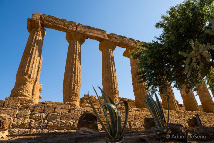 Agrigento Greek Columns