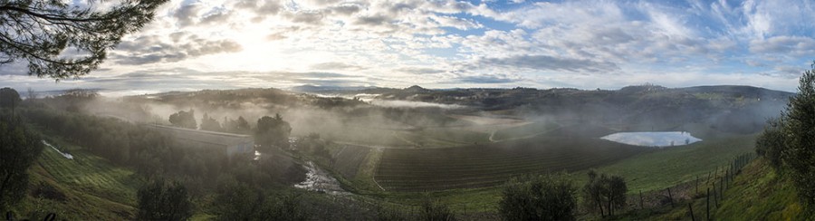 Fattoria Poggio Alloro