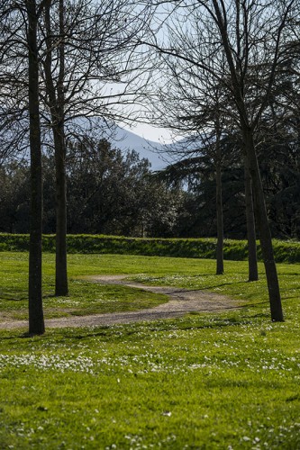 Lucca Park