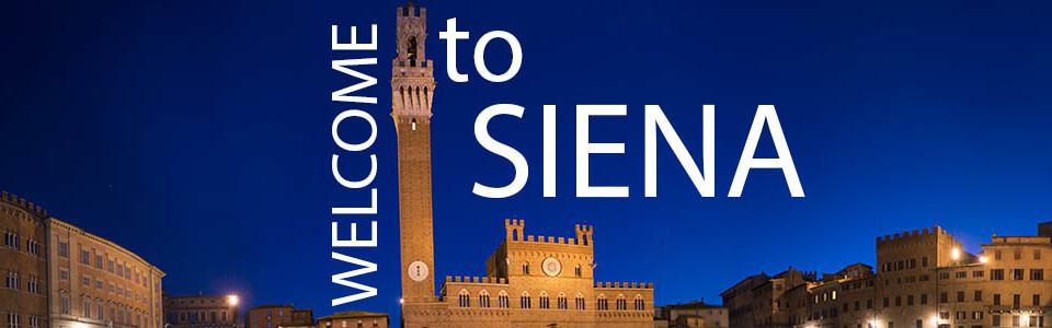 Introduction to Siena