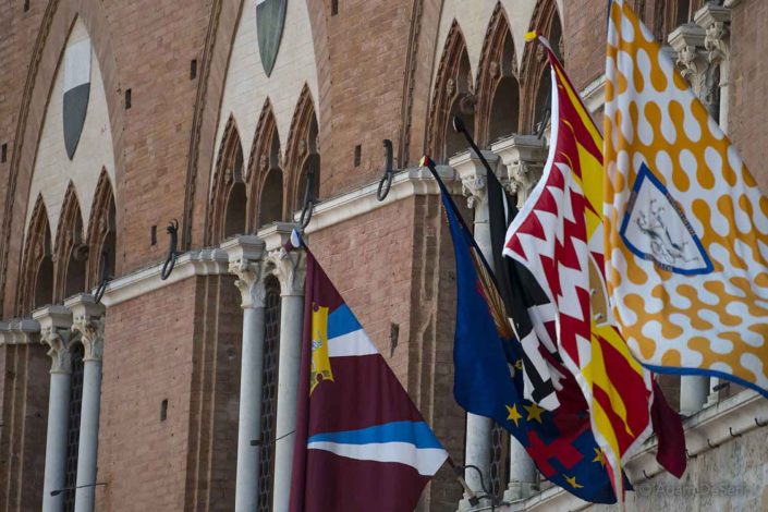 Contrada Flags, Palio, Siena, Italy
