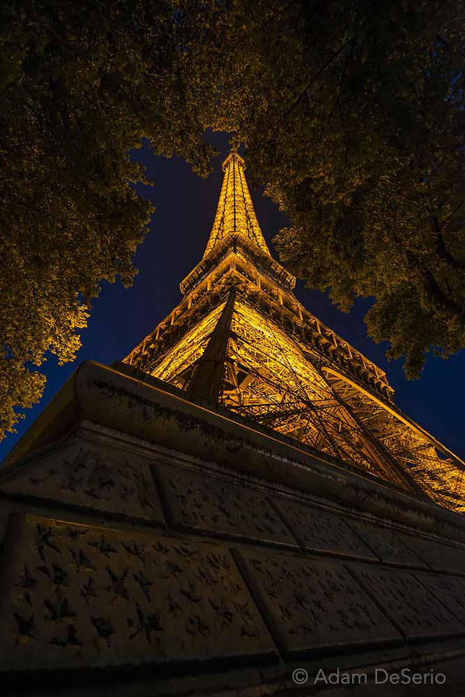 Eiffel Tower Tree, Paris