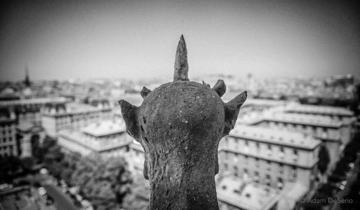 Notre Dame Figure, Paris
