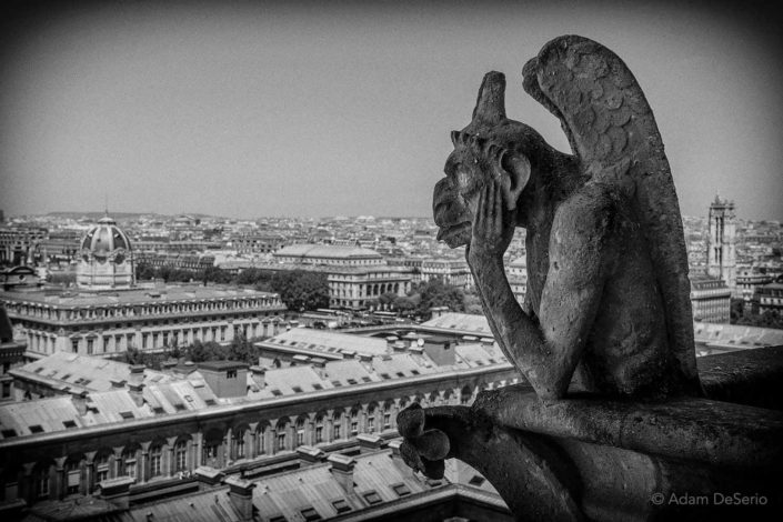 Notre Dame Monster, Paris