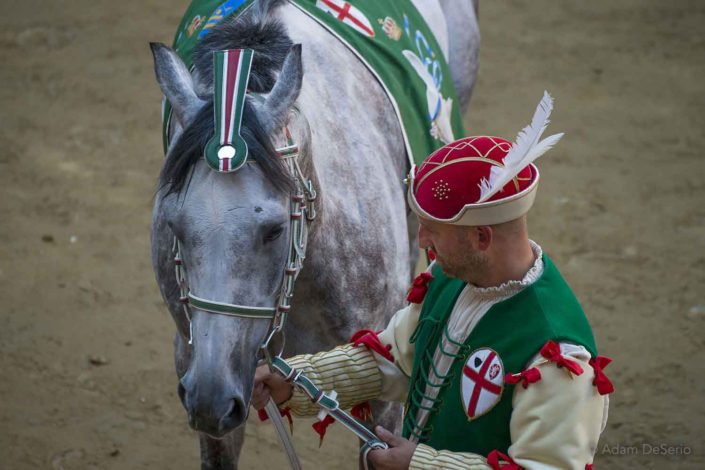 Oca Horse, Palio, Siena, Italy