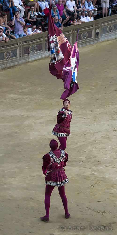 Toss The Flags, Palio, Siena, Italy