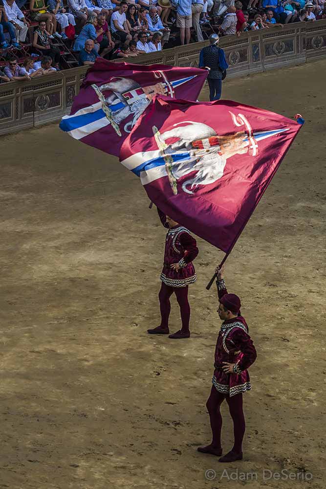 Wave The Flags, Palio, Siena, Italy