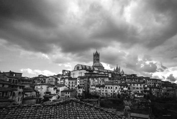 Siena Duomo Black And White, Italy