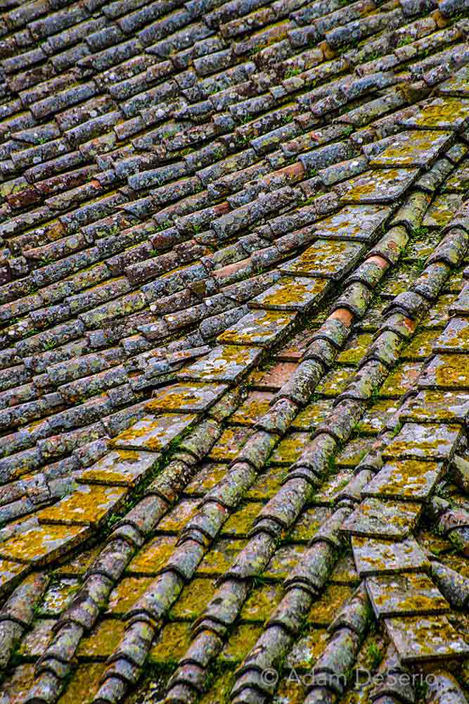 Siena Rooftop Closeup, Italy